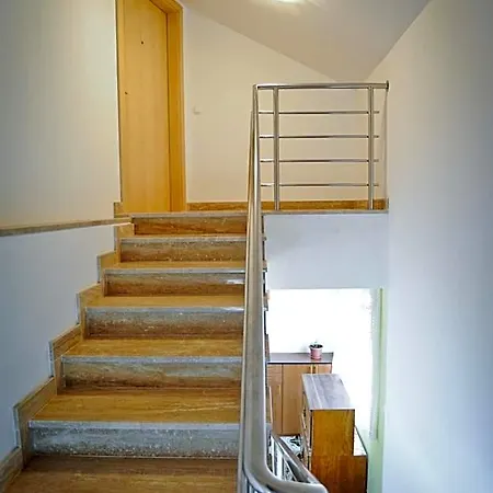 Roko * Zadar